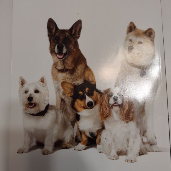 NEW Life magazine Dogs book - Picture 3 of 3